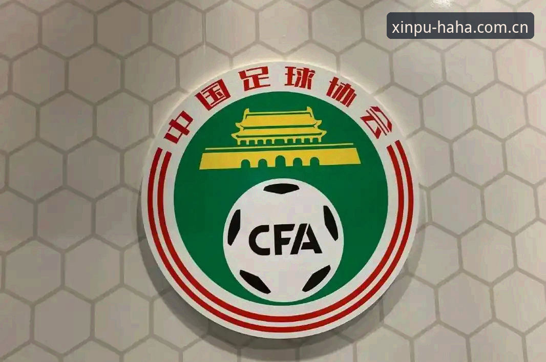 资深用户分享：足协第三批禁足名单深度解读，从哈哈体育平台看中超反腐风暴